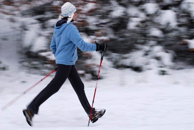 Winter Trailside Fitness - How to Adapt to the Elements